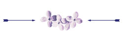 Purple flowers, decorative image